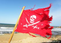 Pirate Flag Private Dock